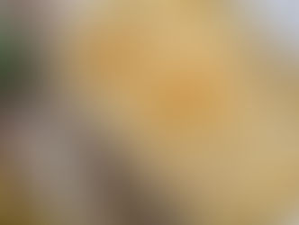 French Onion Mac & Cheese