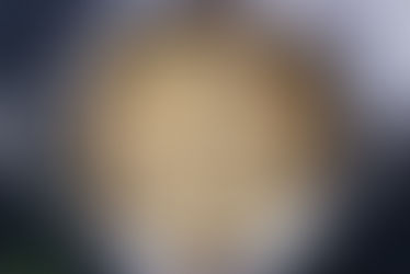 Chicken in a Morel Sauce