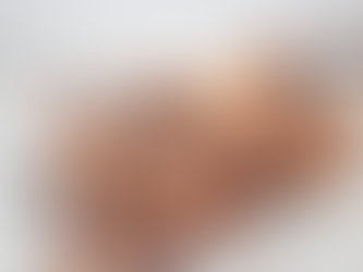 Cinnamon Roll Churro Twists