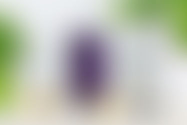 Blueberry Banana Smoothie