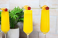 Mimosa