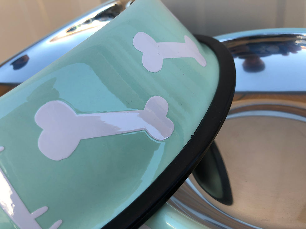 Thumbnail: Pet Bowl