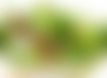 Fresh and Fast With FarmLokal: 5 Salad Recipes With Hydroponic Vegetables