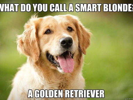 7 Best Dog Breeds for Children to Grow Up With