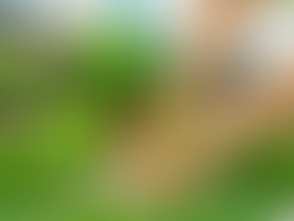 Fresh From the Farm to Noida: How FarmLokal Is Changing the Way We Buy Vegetables