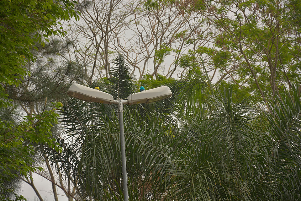 _DSC0090