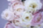 Roses.jpg