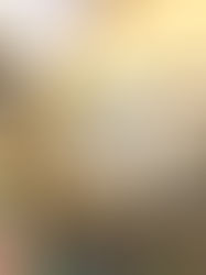 Edulife faz exposição que marca o início do calendário da educação bíblica de 2026.