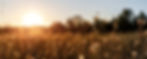 AdobeStock_393086572.jpeg