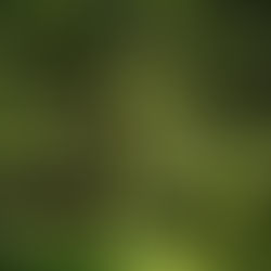 Grundrissliebe - was mich bewegt und antreibt