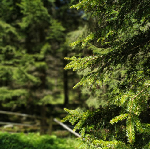 Grundrissliebe - was mich bewegt und antreibt
