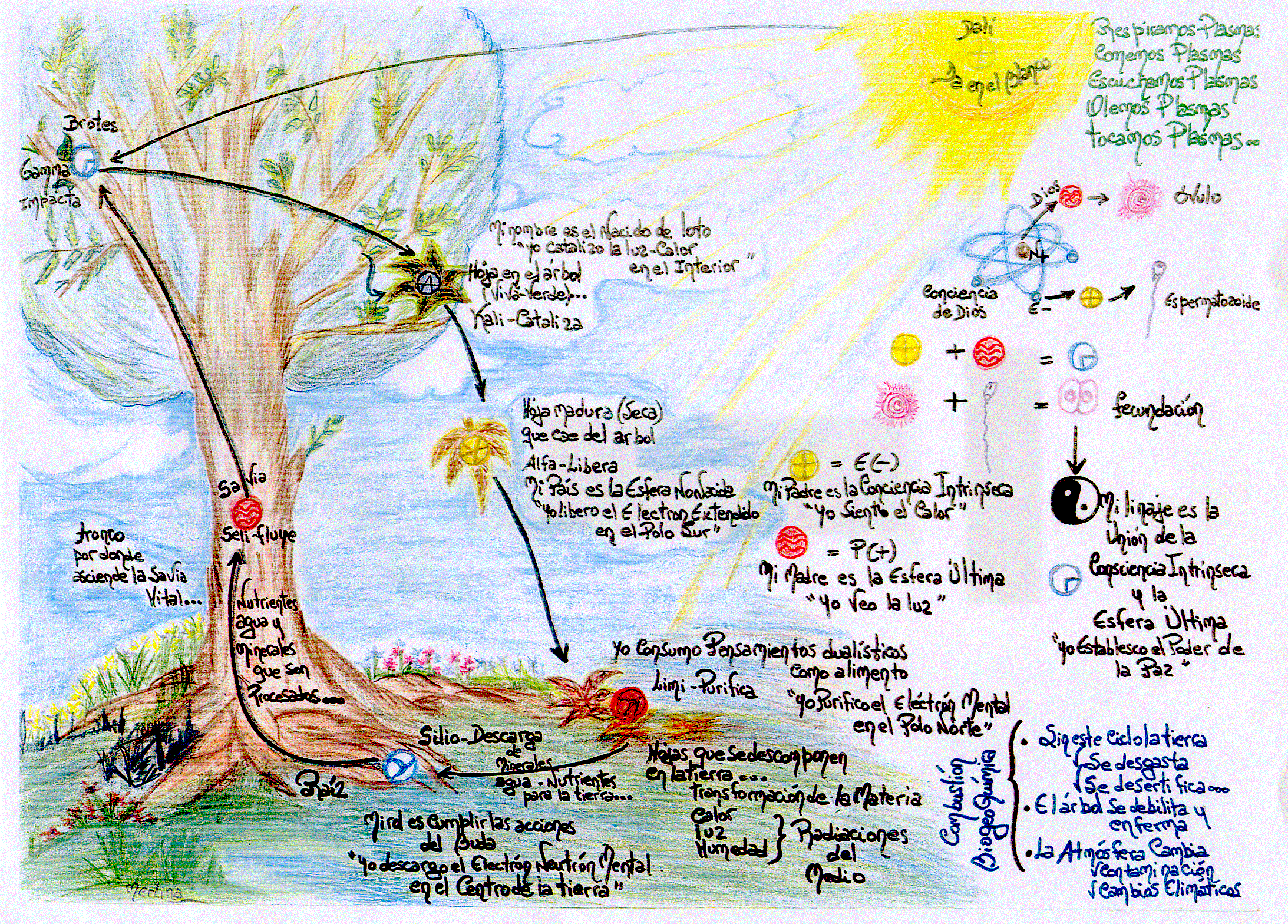 Cada plasmas representa una etapa en la Combustión BiogeoQuimica del Árbol, de la misma manera representa nuestros ciclos de vida en Septenios