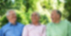 Old Friends_edited.jpg