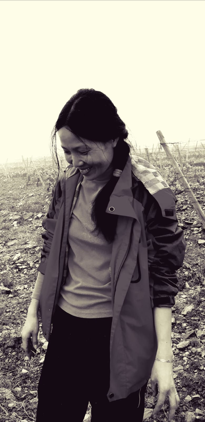 Miniature : Les Terres Calcinées AOP rosé