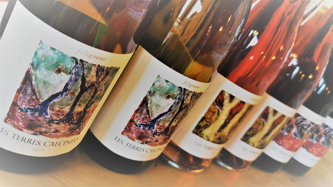 IMG_20200910_185233 (4).jpg