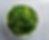 103 Seaweed Salad