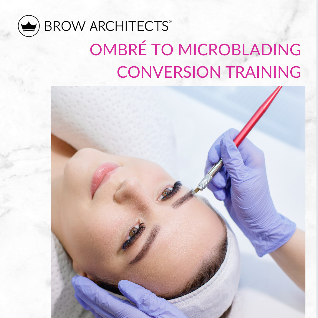 Ombre to Microblading Conversion Training