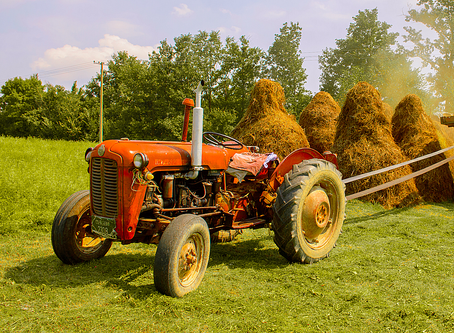 Global Challenge: Sparking the Next Agricultural Revolution