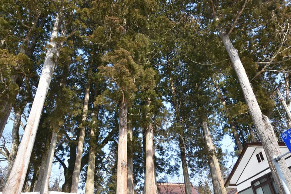 ree