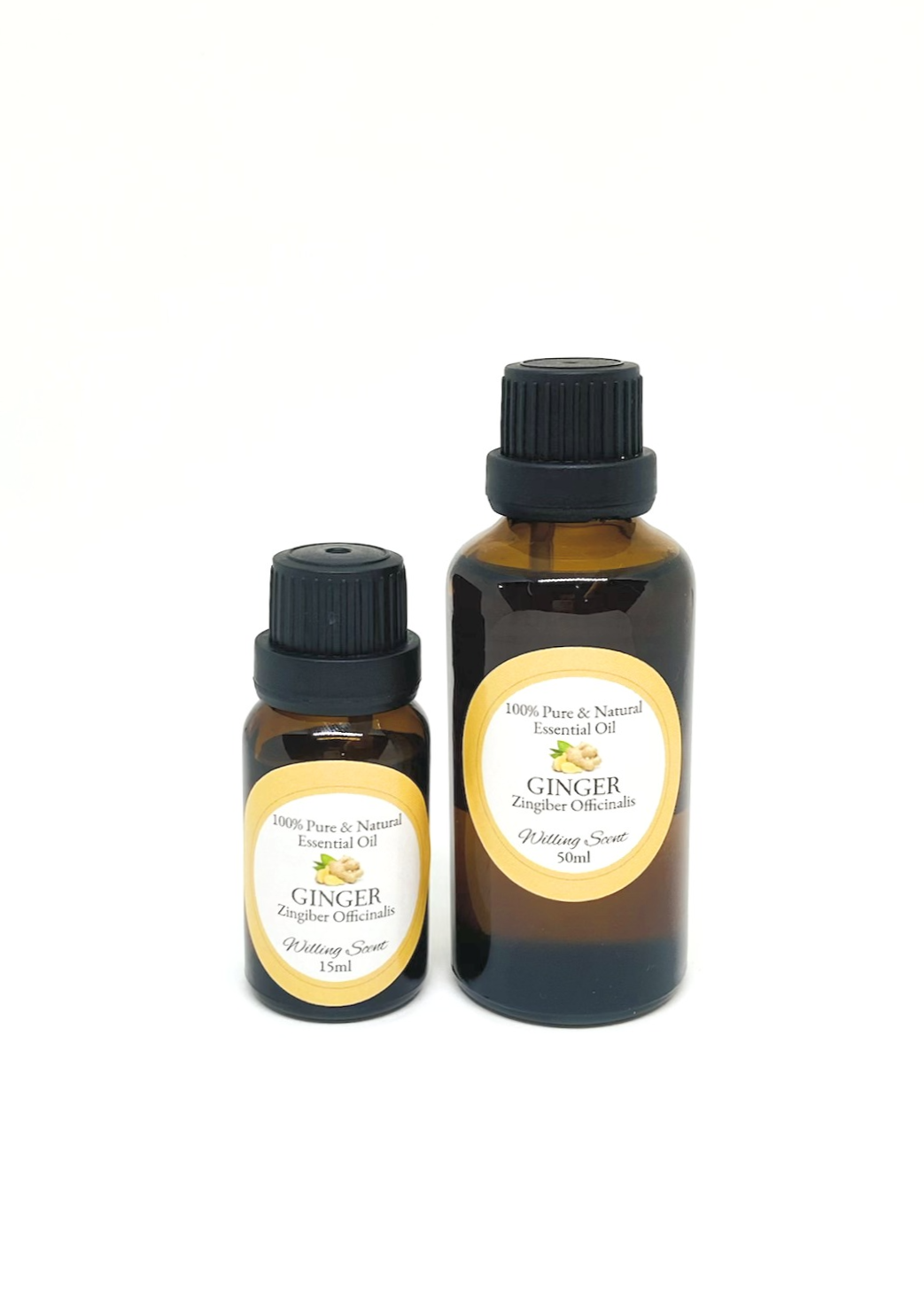 Ginger Essential Oil