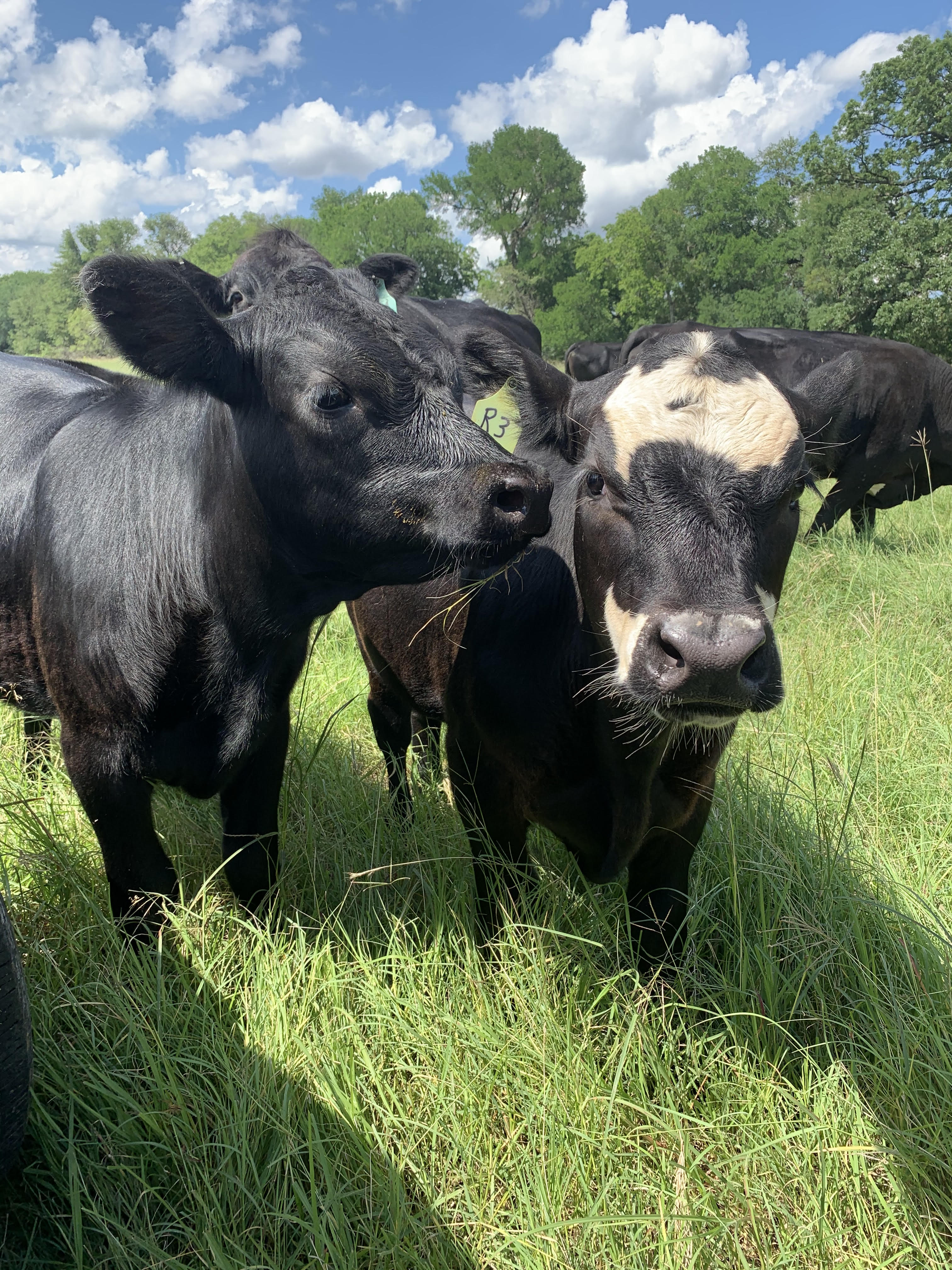 1715 RV Park photo 5