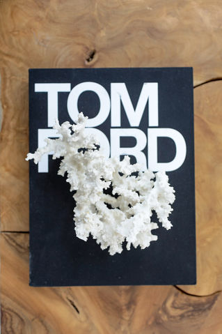 Close-up of a book with coral decor on top.
