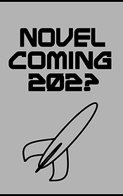 newnovel.png