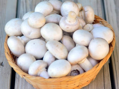 The Delightful Button Mushroom: Nature’s Culinary Gem