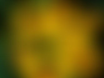 The Black-Eyed Susan: A Vibrant and Resilient Flower