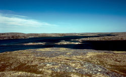 Typical Kogaluk terrain