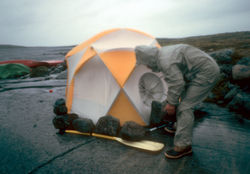 Ungava tent pegs on Kogaluk