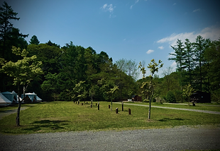 IMG_9929.heic
