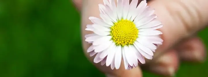 holistic behavioral health services