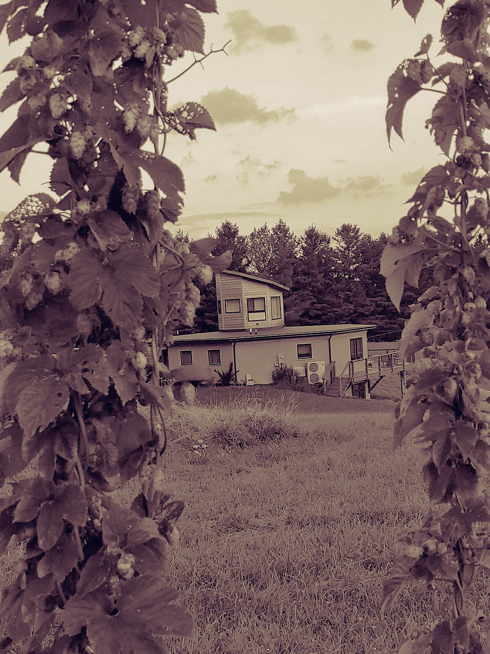 20180717_202807_HDR