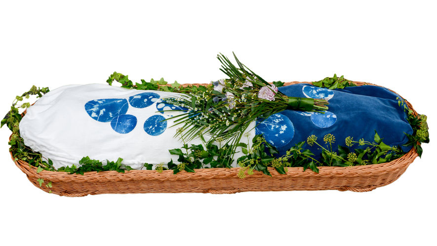 Blue velvet and heavy white cotton burial shroud with ecoprinted images of plants and seeds, arranged in a willow coffin with ivy and fresh flowers.