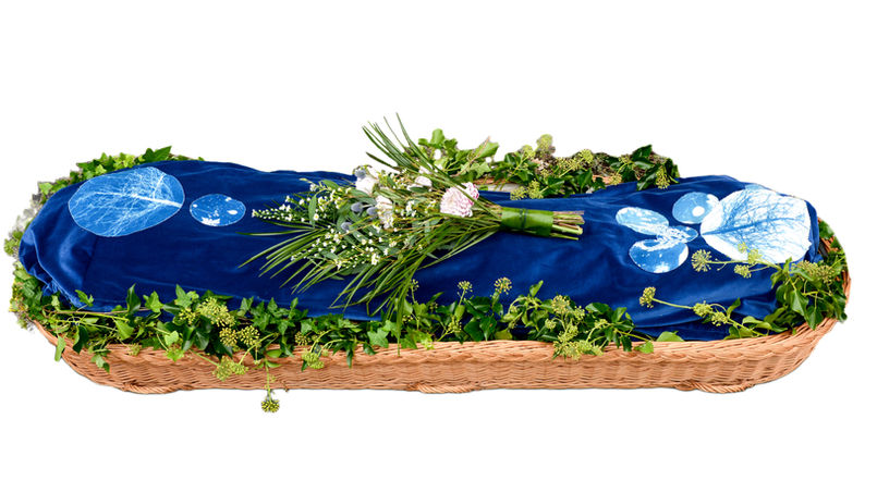 Deep blue velvet burial shroud with white botanical prints, arranged in a willow coffin with ivy and fresh flowers.