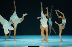 DSC0398703987 Photo by Efrat Mazor_