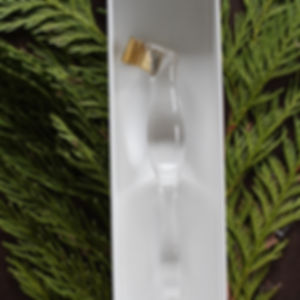 DELUXE Clear Oblique Penholder
