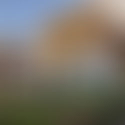 Tsering Jong Monastery, Bir : Quiet Devotion and Losar Traditions