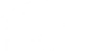 The Coaching Manual_webp.webp