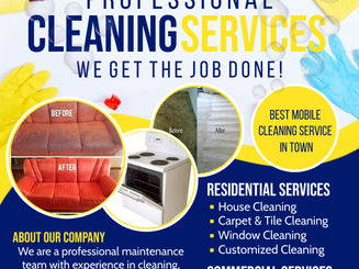 Mcman Cleaning.jpg