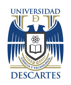 positivo vertical.jpg