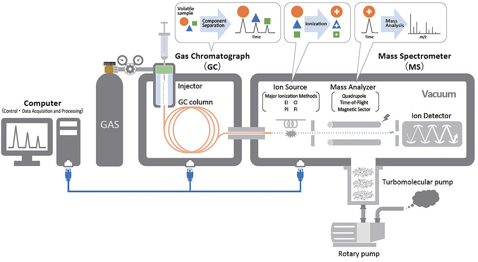 Diagram showing how a GC-MS instrument separates and identifies compounds such as benzene in sunscreen. TGA benzene Testing Method