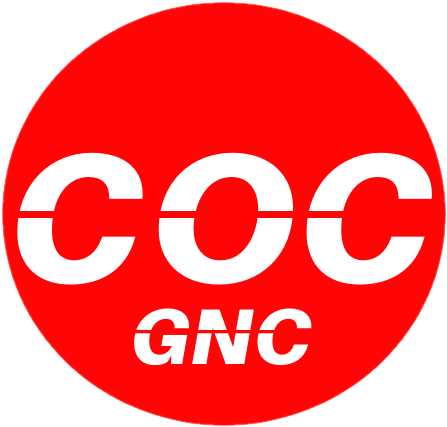 LOGO FINAL SIN FONDO.png