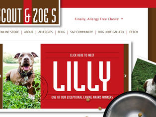Scout & Zoe's