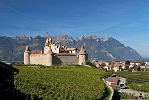 vin-saveur.jpg
