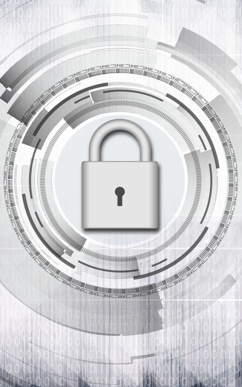 Privacy and Security Image