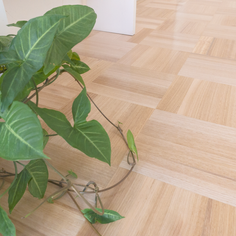 PARQUET