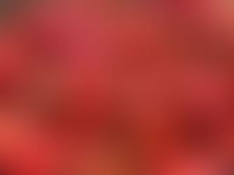 いちごジャム🍓2026