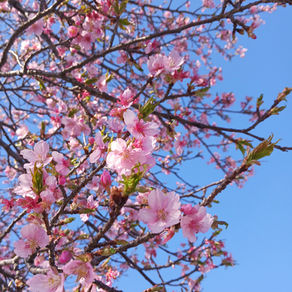 新入荷ワインぞくぞく